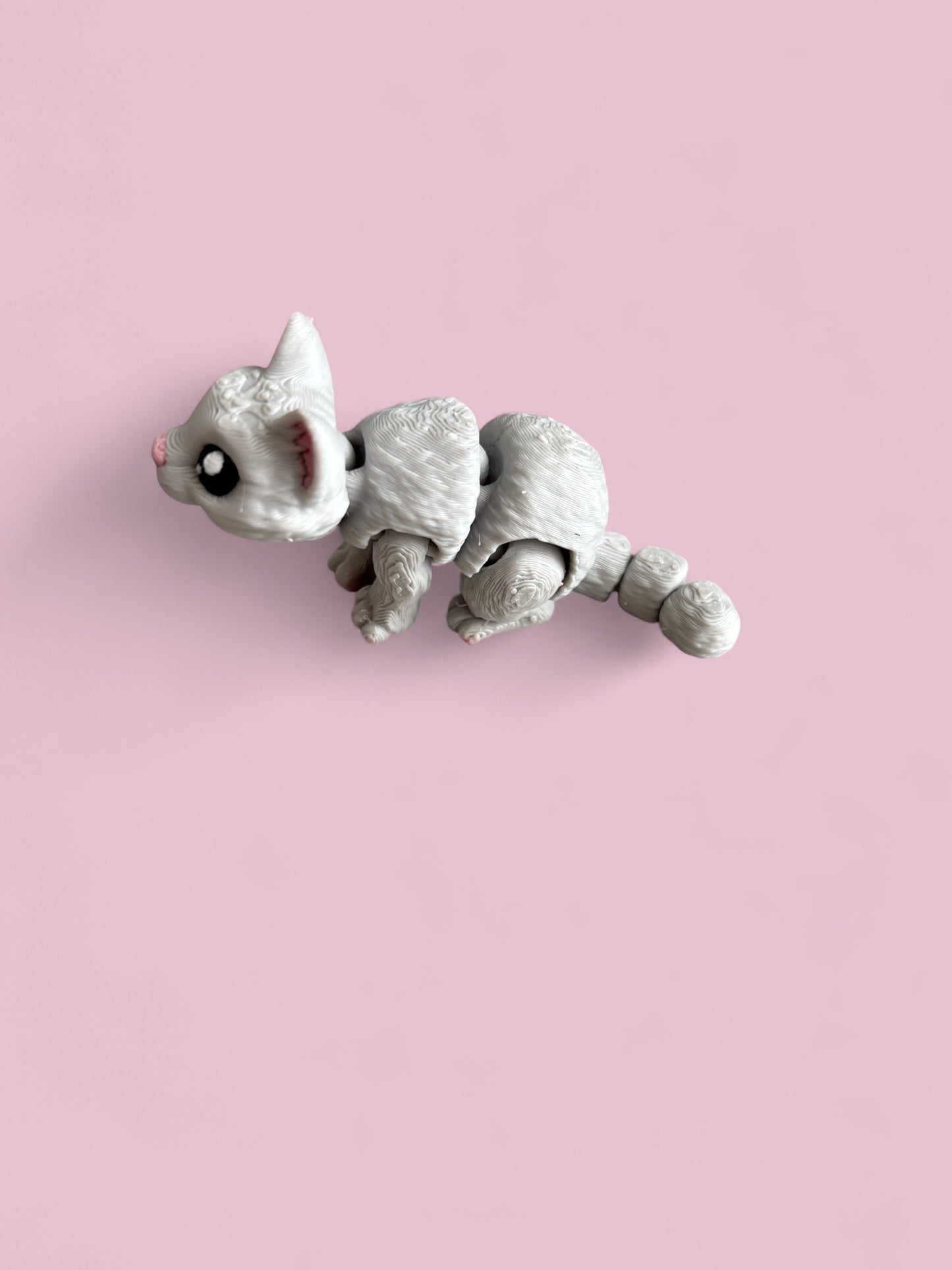 Mini grey cat