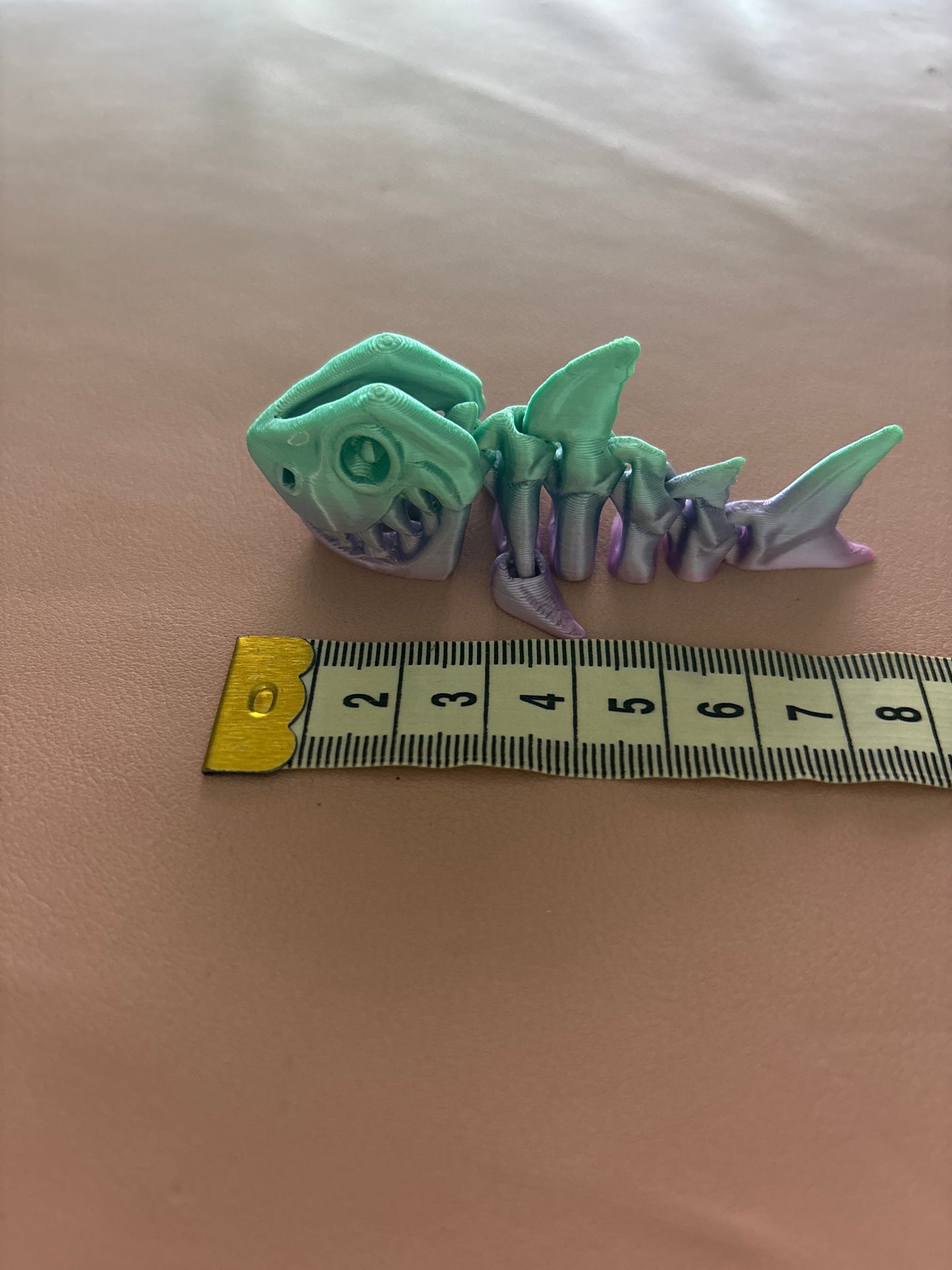Mini skeleton shark