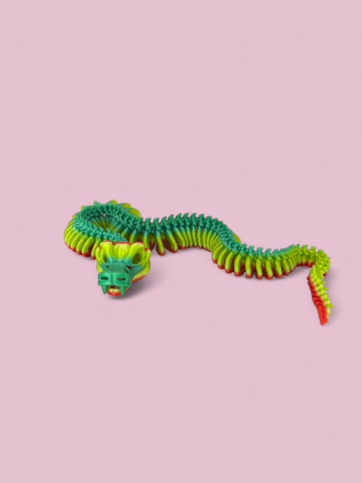 Snake skeleton - rainbow