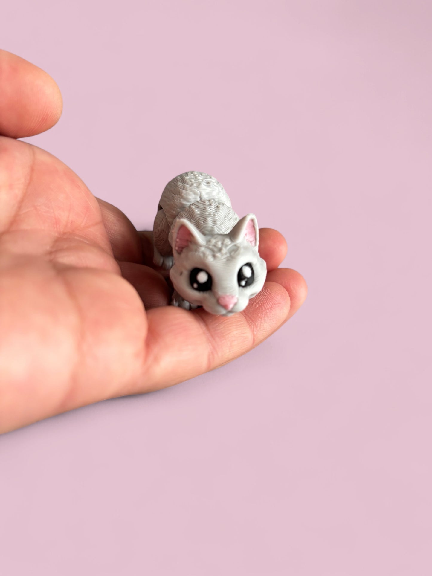 Mini grey cat