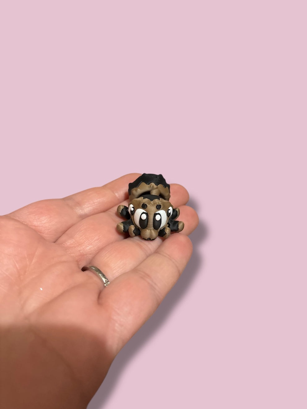 Mini jumping spider