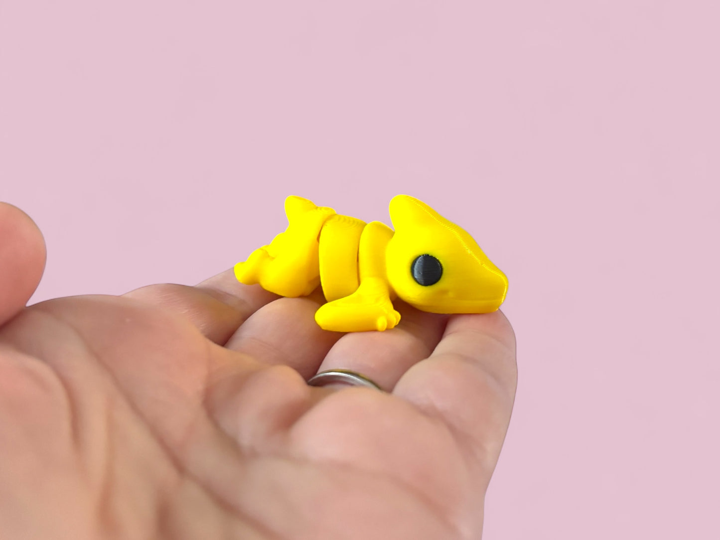 Tiny pterosaurs