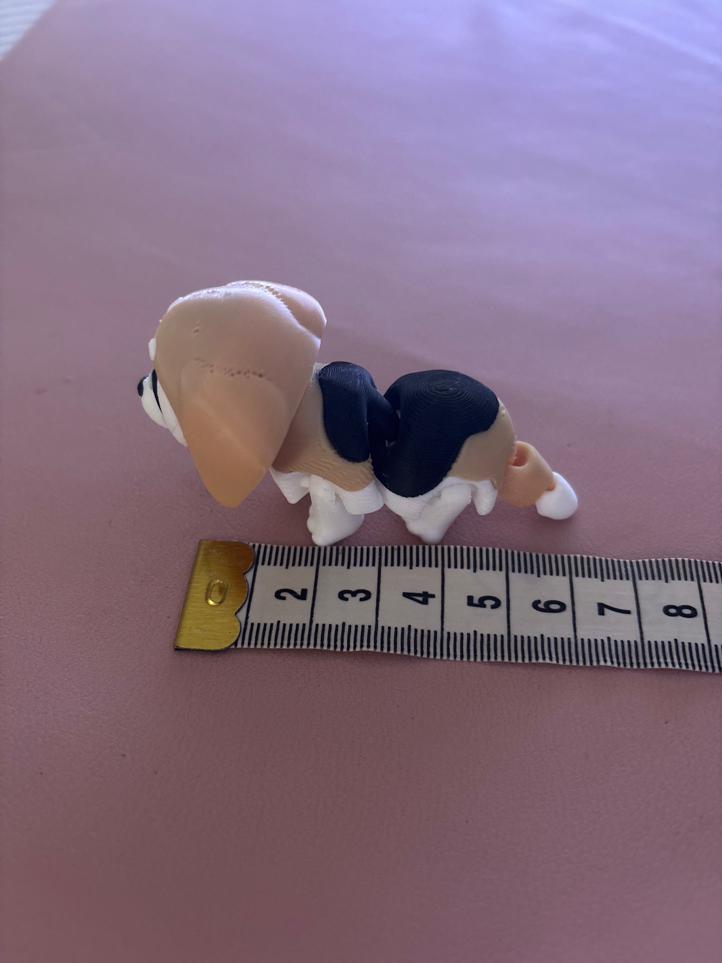 Mini dog