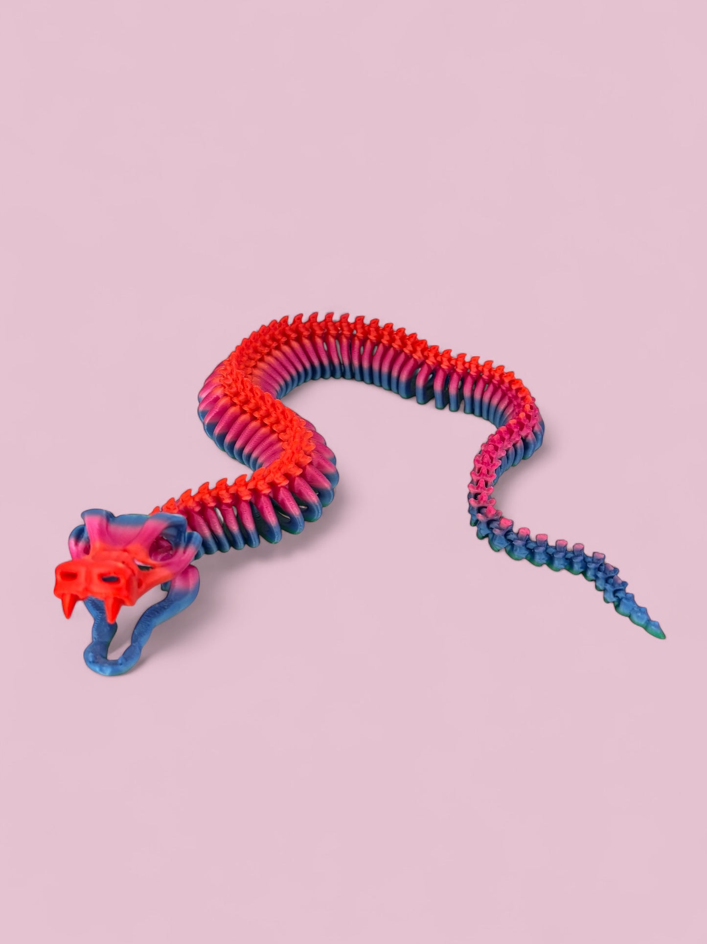 Snake skeleton - rainbow