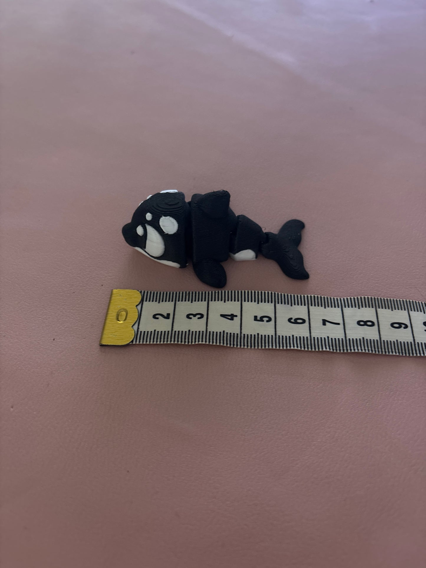 Mini orca (killer whale)