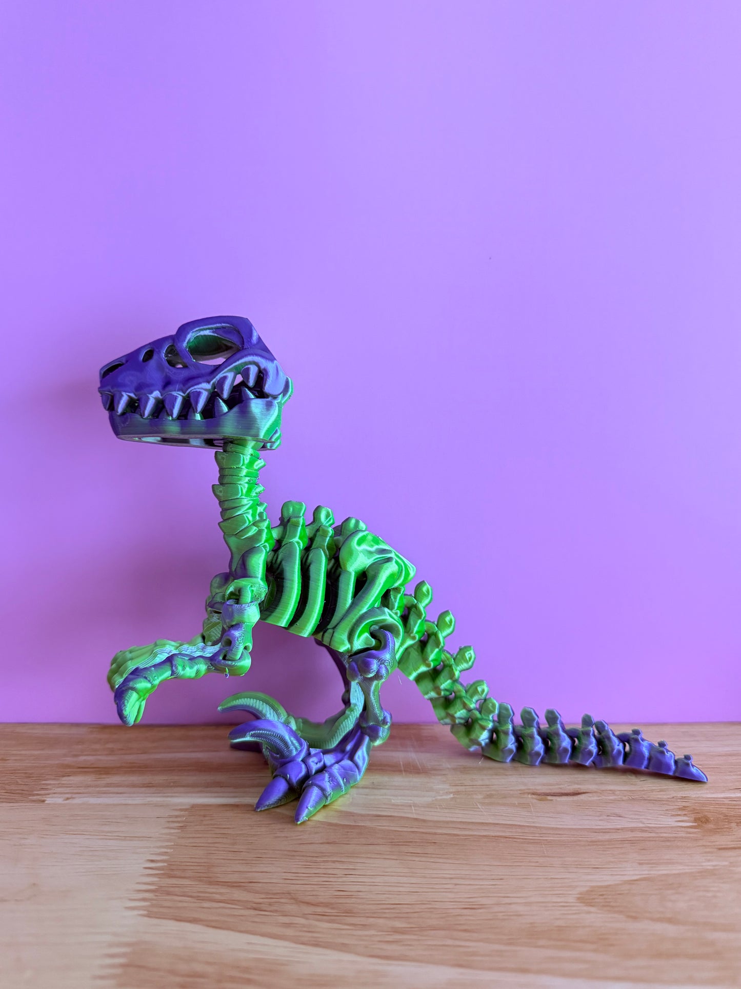 Skeleton raptor