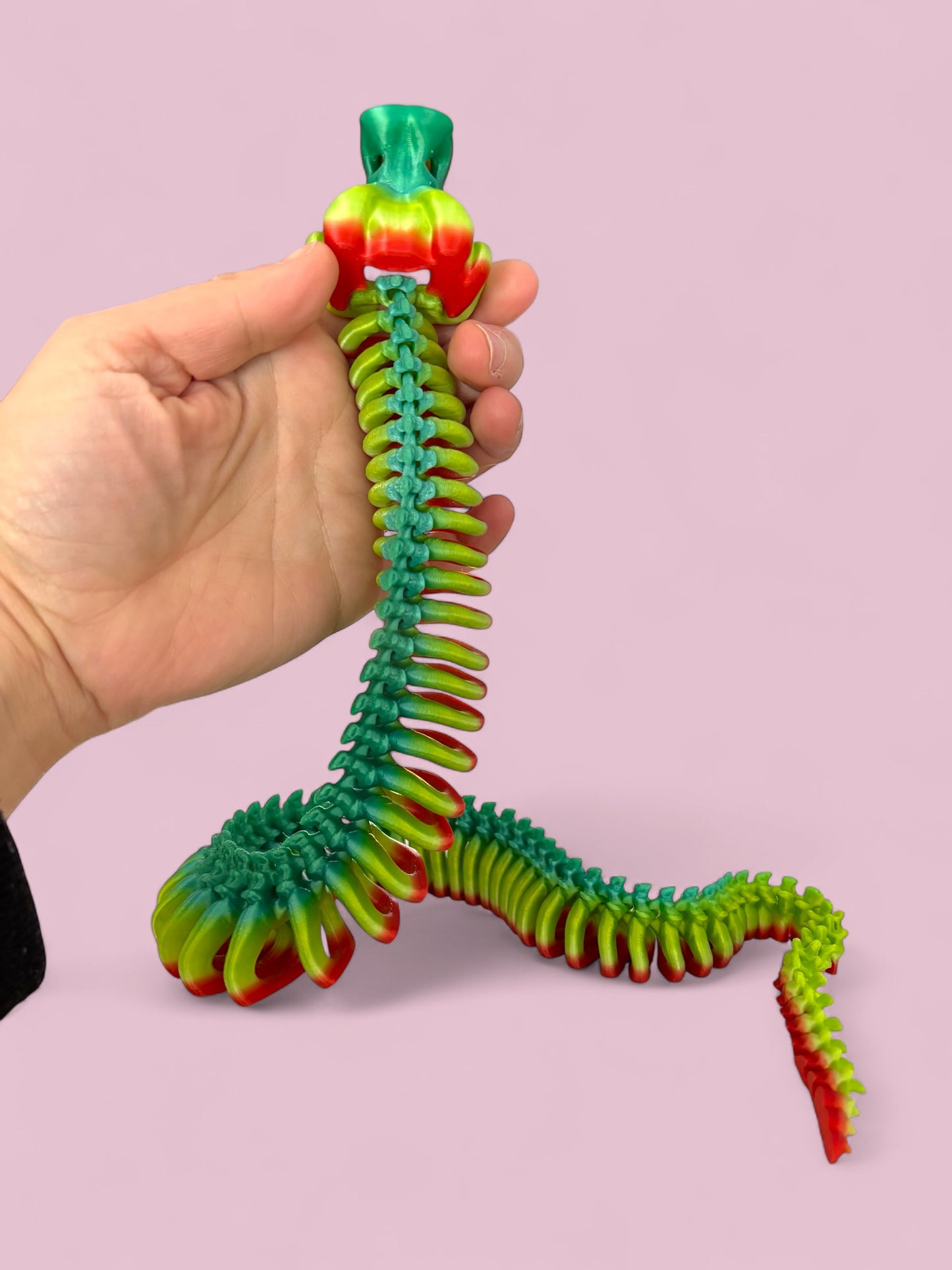 Snake skeleton - rainbow