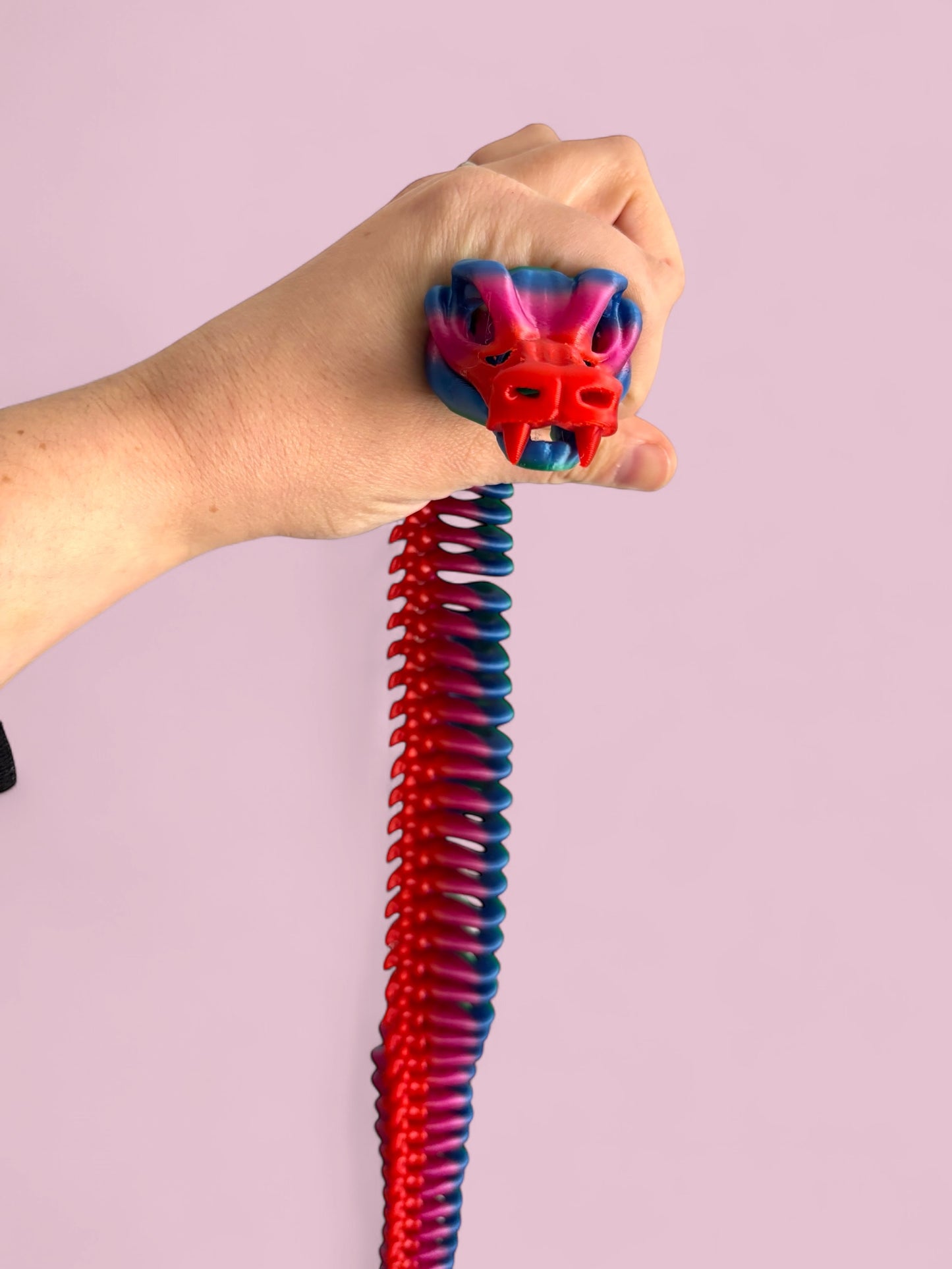 Snake skeleton - rainbow