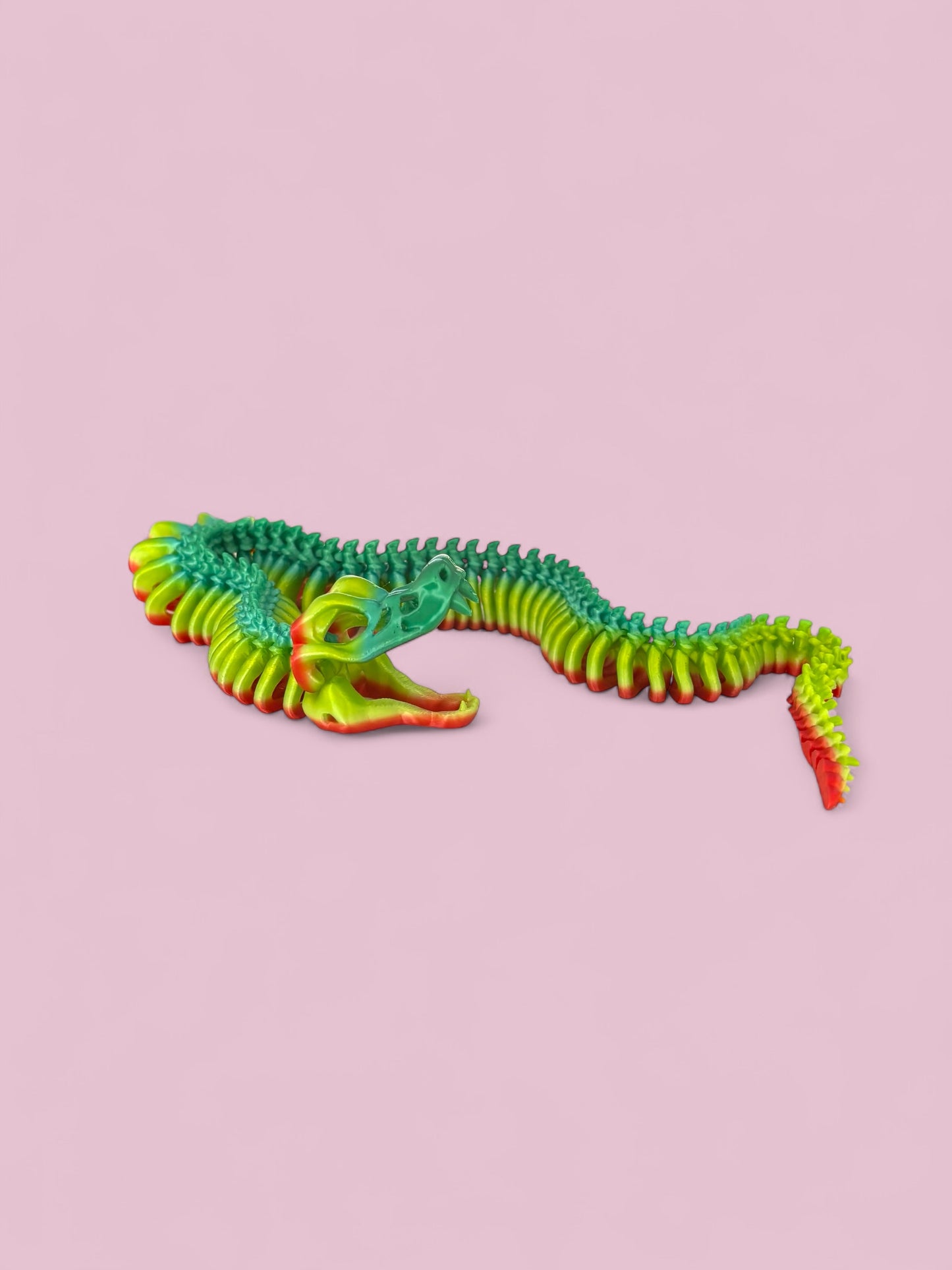 Snake skeleton - rainbow