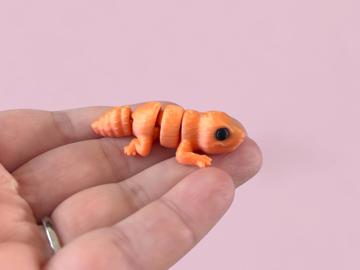 Tiny lizard