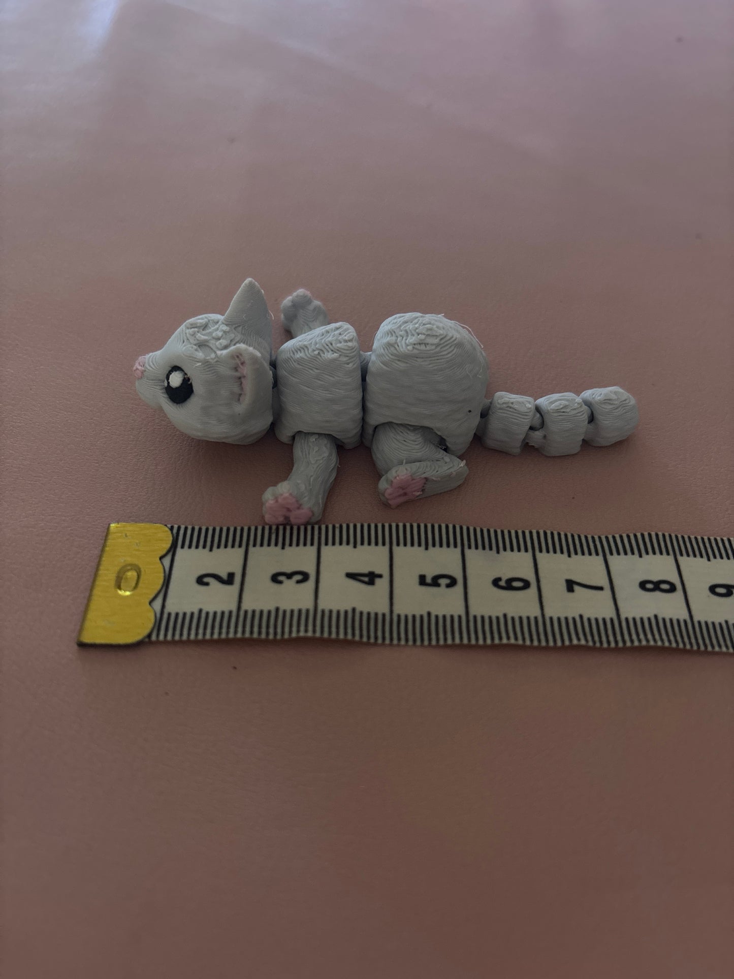 Mini grey cat