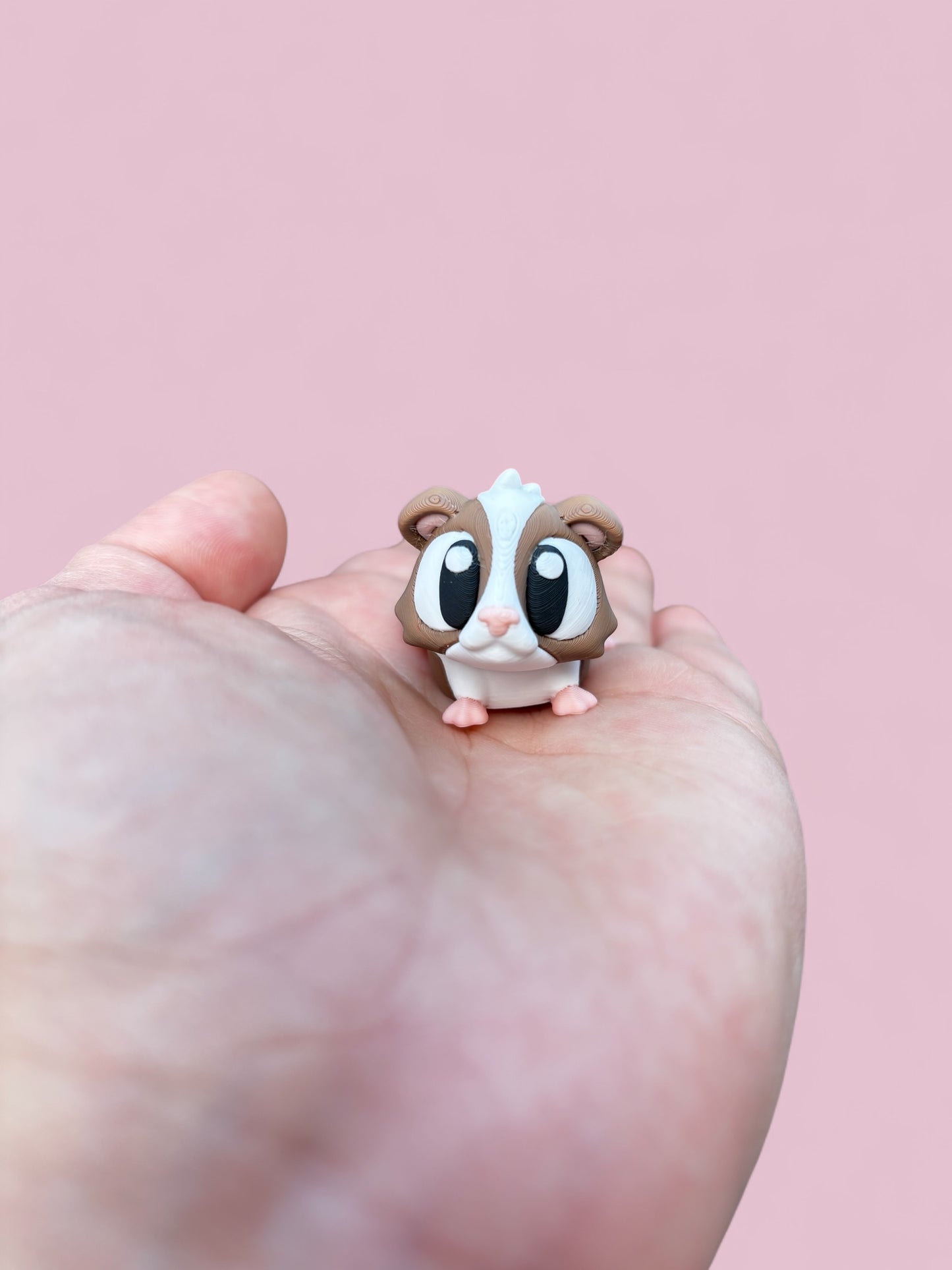 Baby Guinea play set