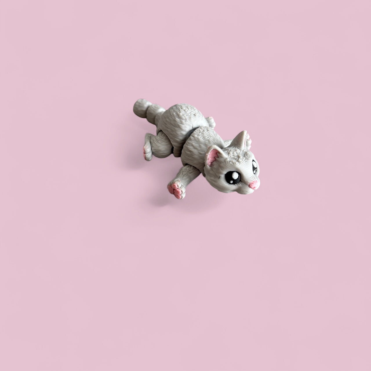 Mini grey cat