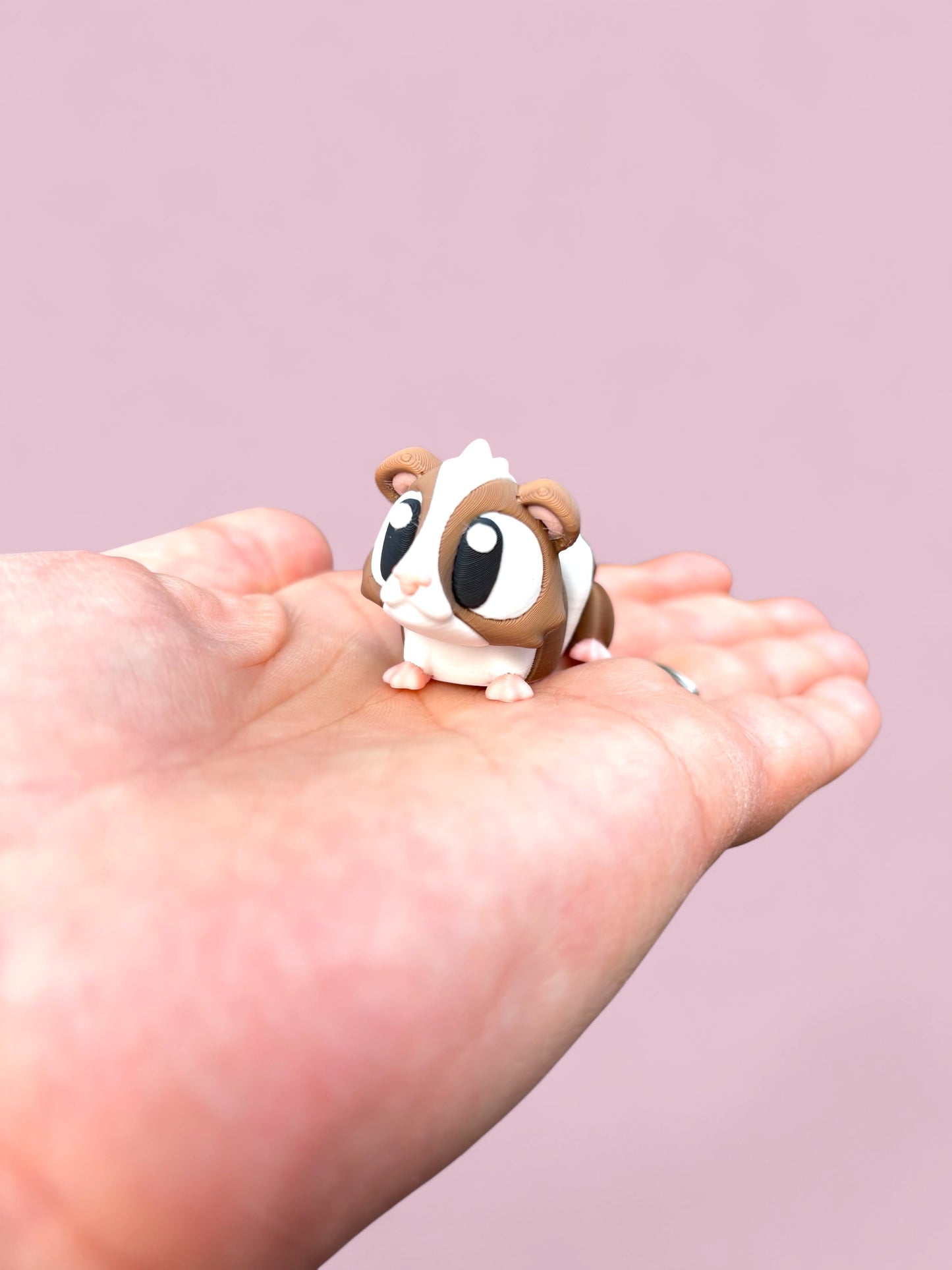 Baby Guinea play set