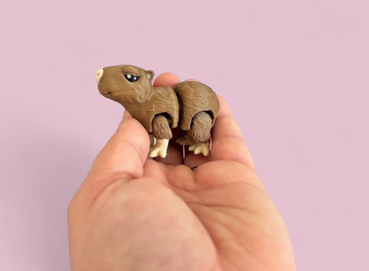 Mini capybara
