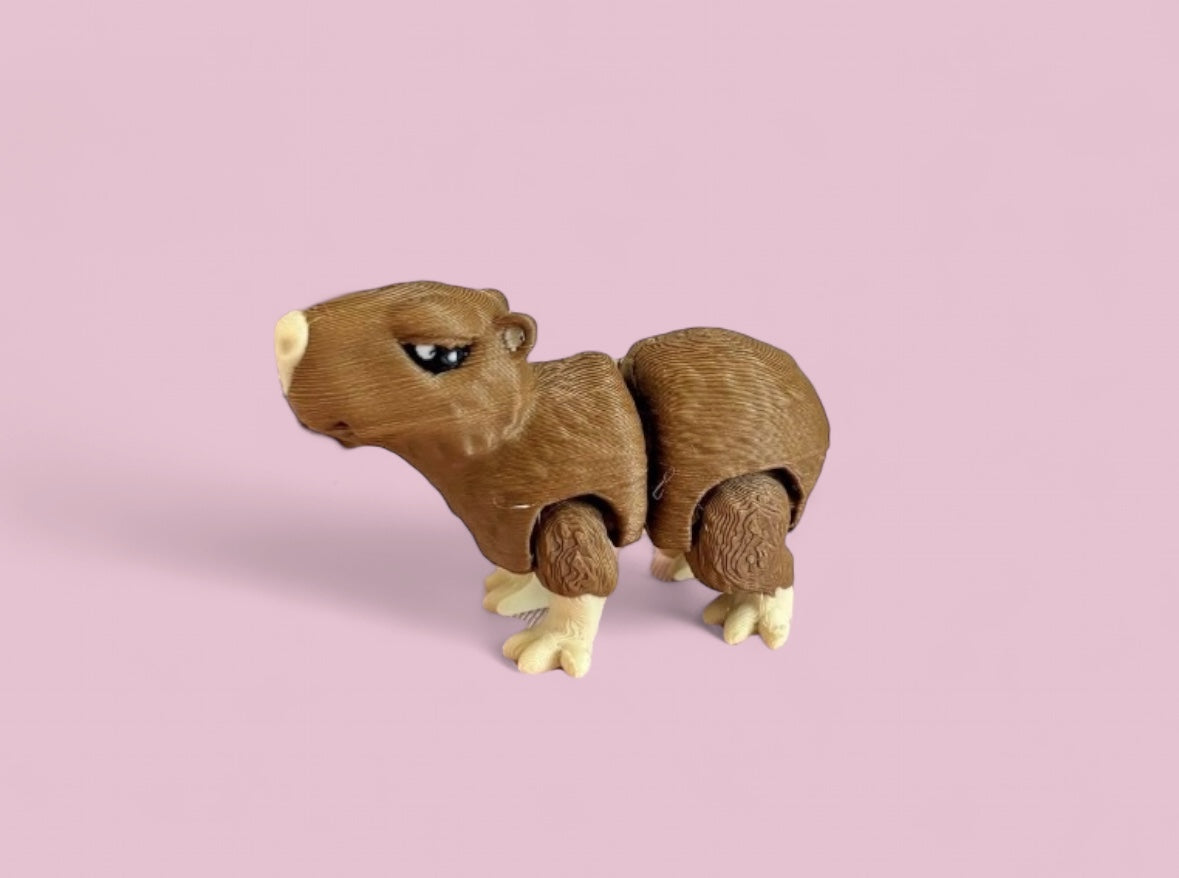 Mini capybara