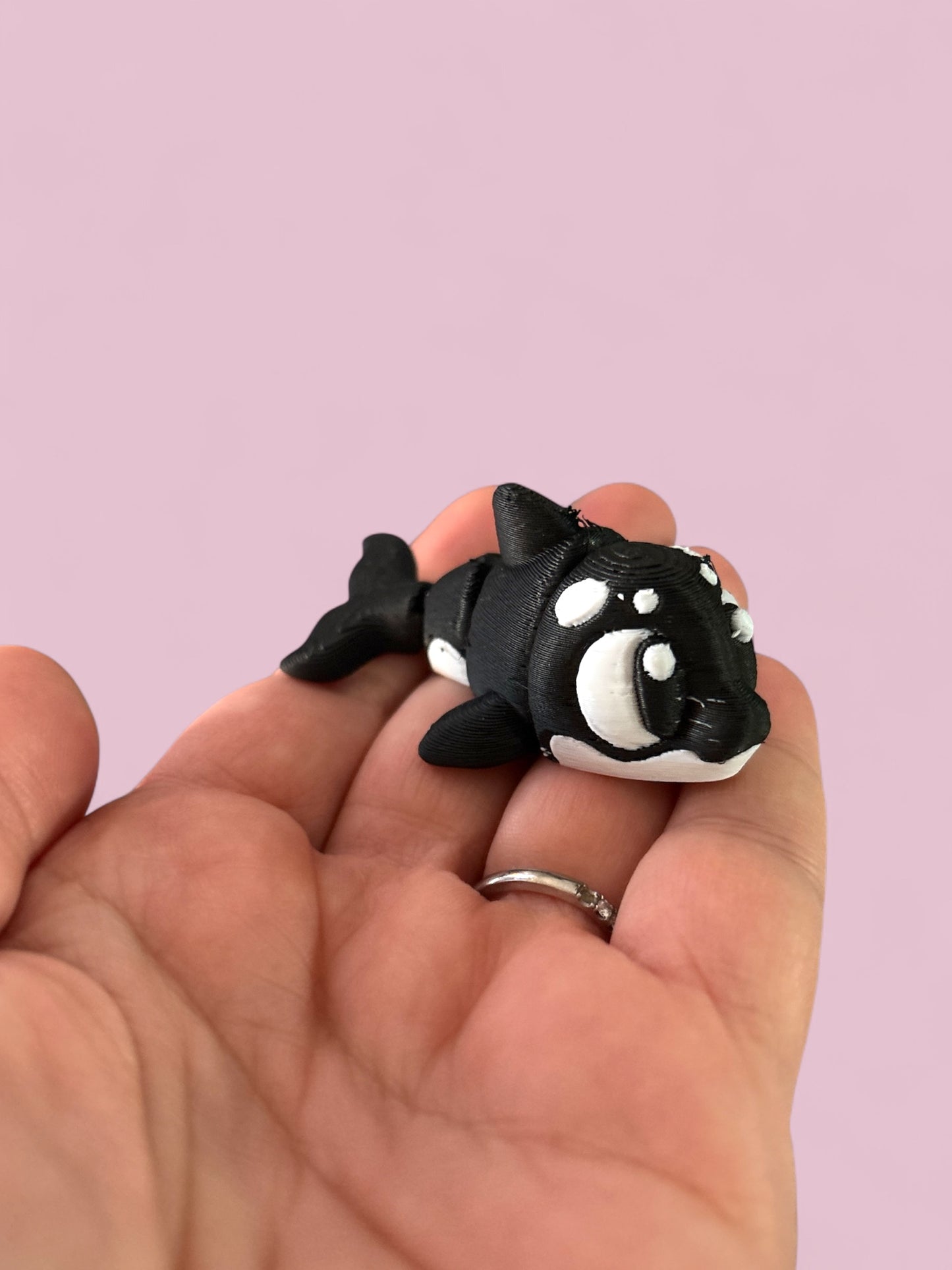 Mini orca (killer whale)