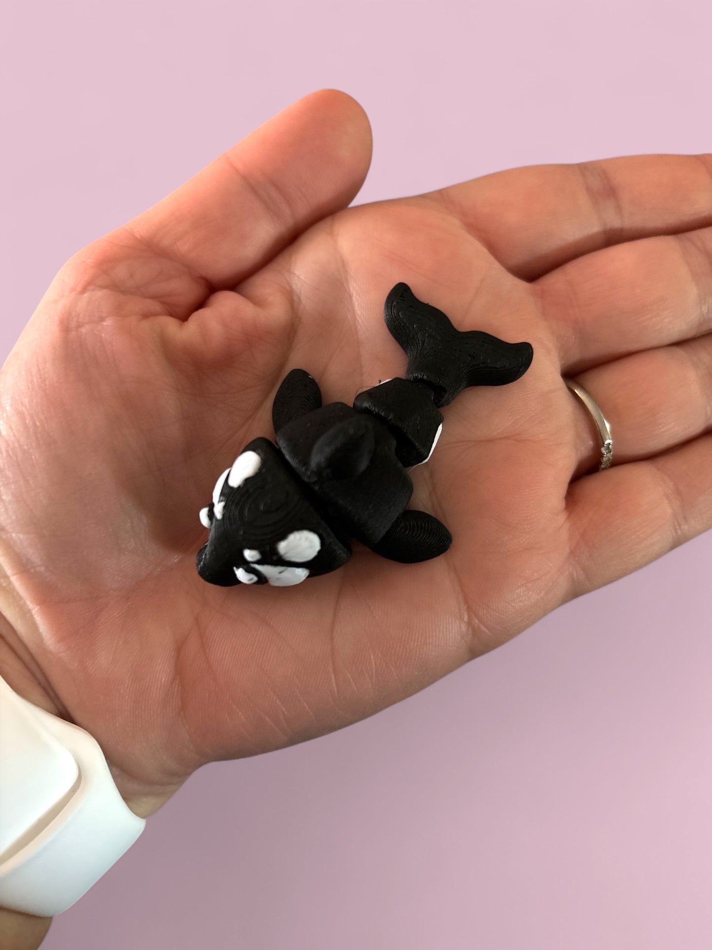 Mini orca (killer whale)