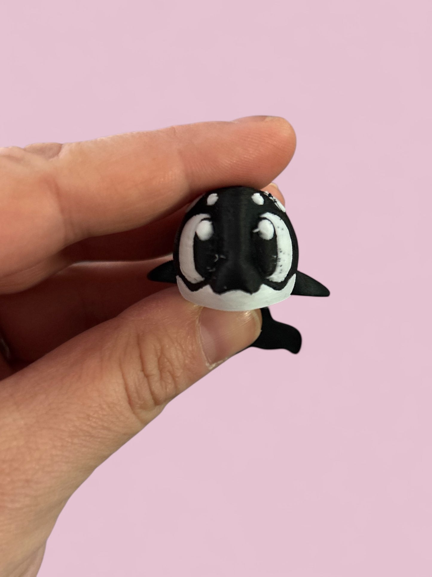 Mini orca (killer whale)