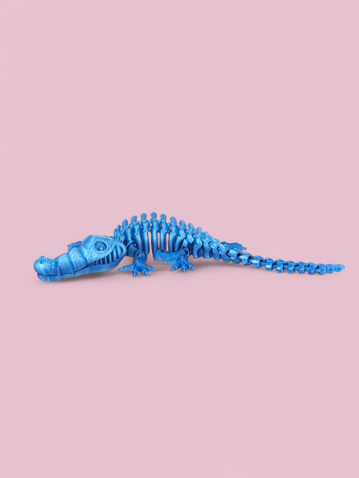 Crocodile Skeleton