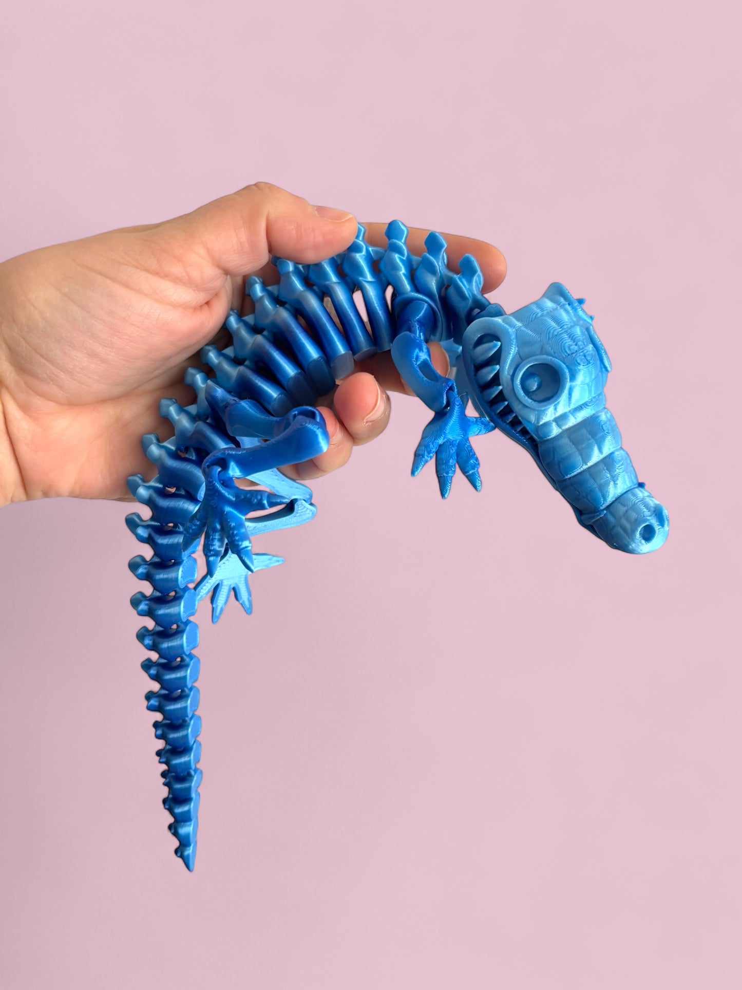 Crocodile Skeleton
