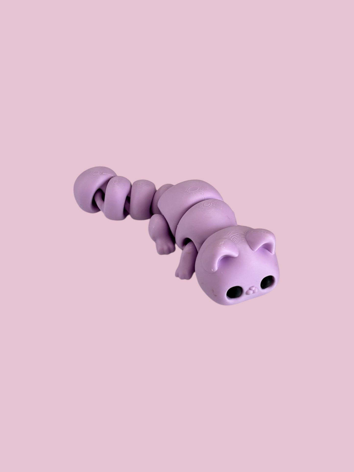 Kitty the cat fidget