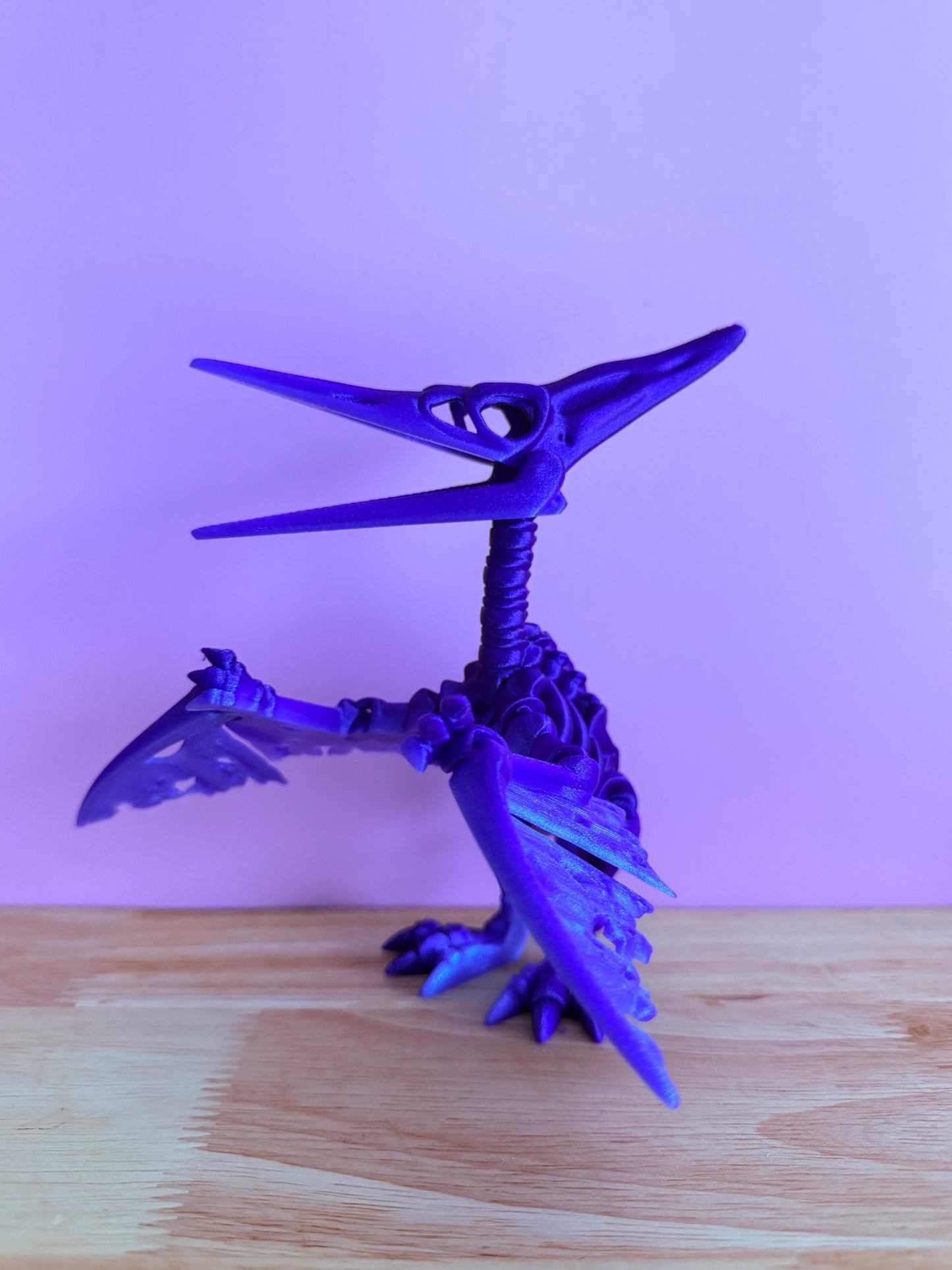 pterodactyl Skeleton