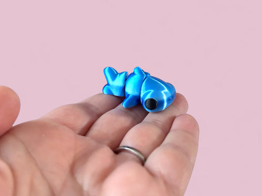 Tiny Hammerhead shark