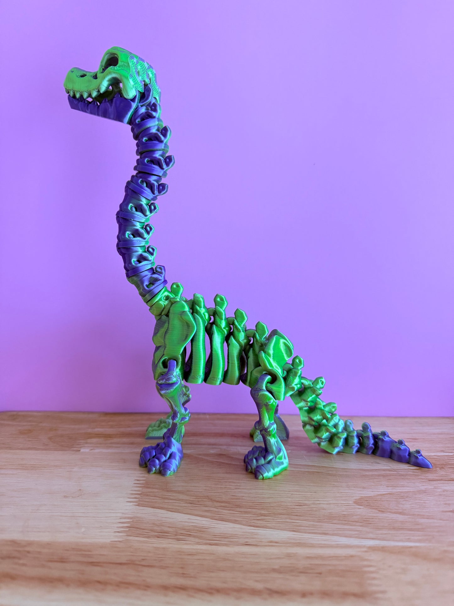 Skeleton Brachiosaurus