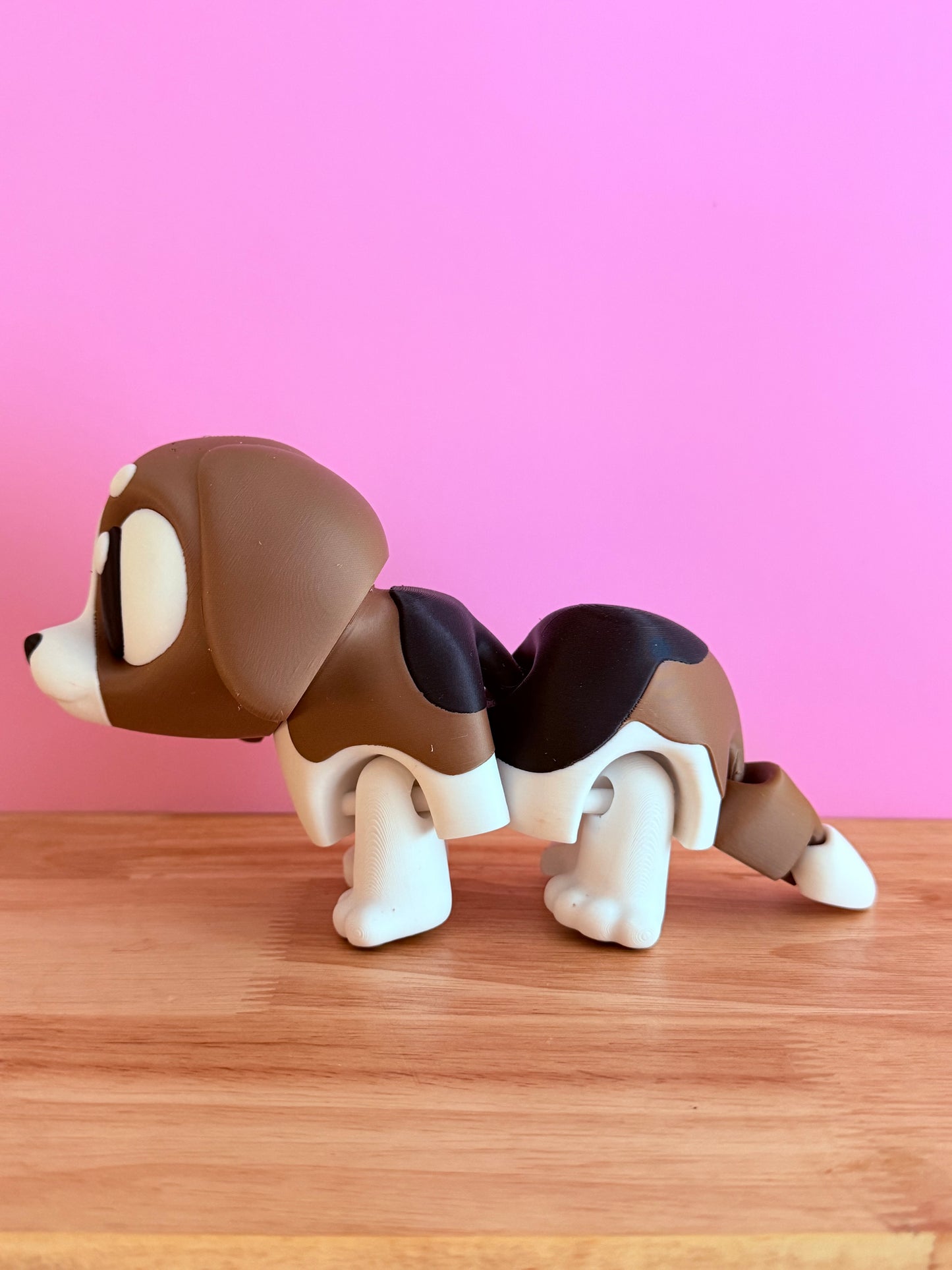 XL pet dog