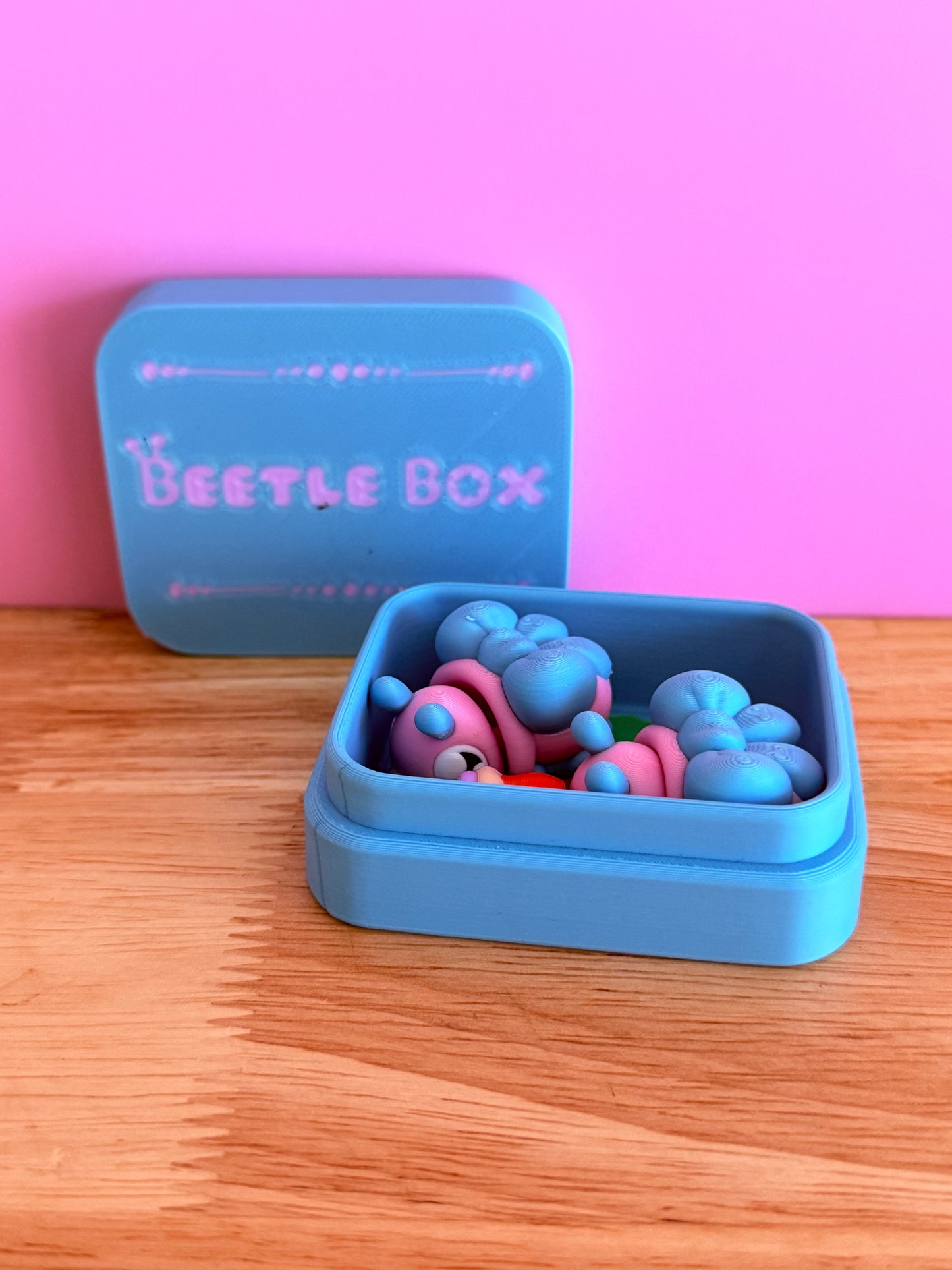 Mini beetle box