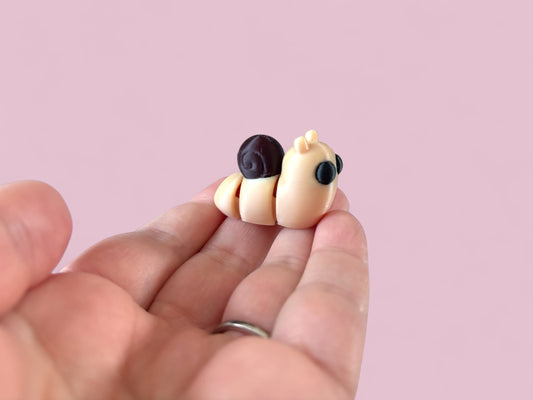 Tiny Snail