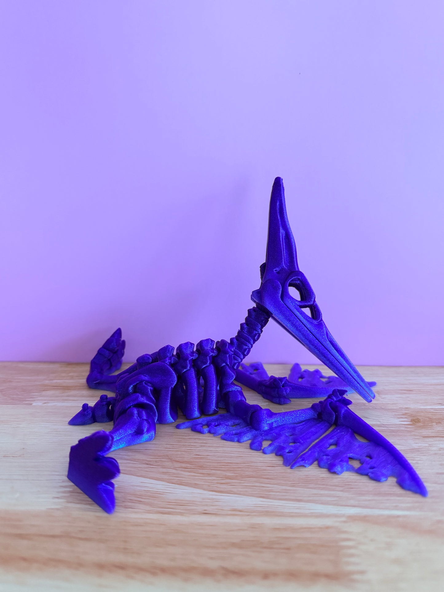 pterodactyl Skeleton