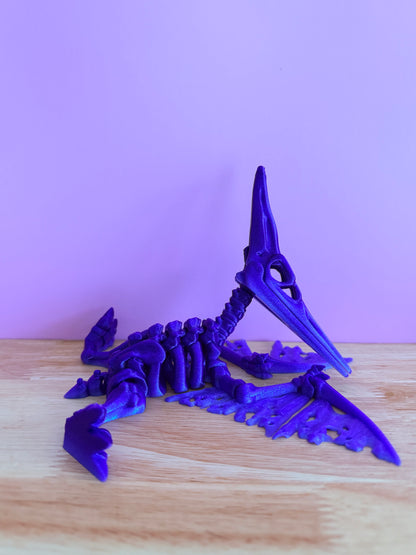 pterodactyl Skeleton