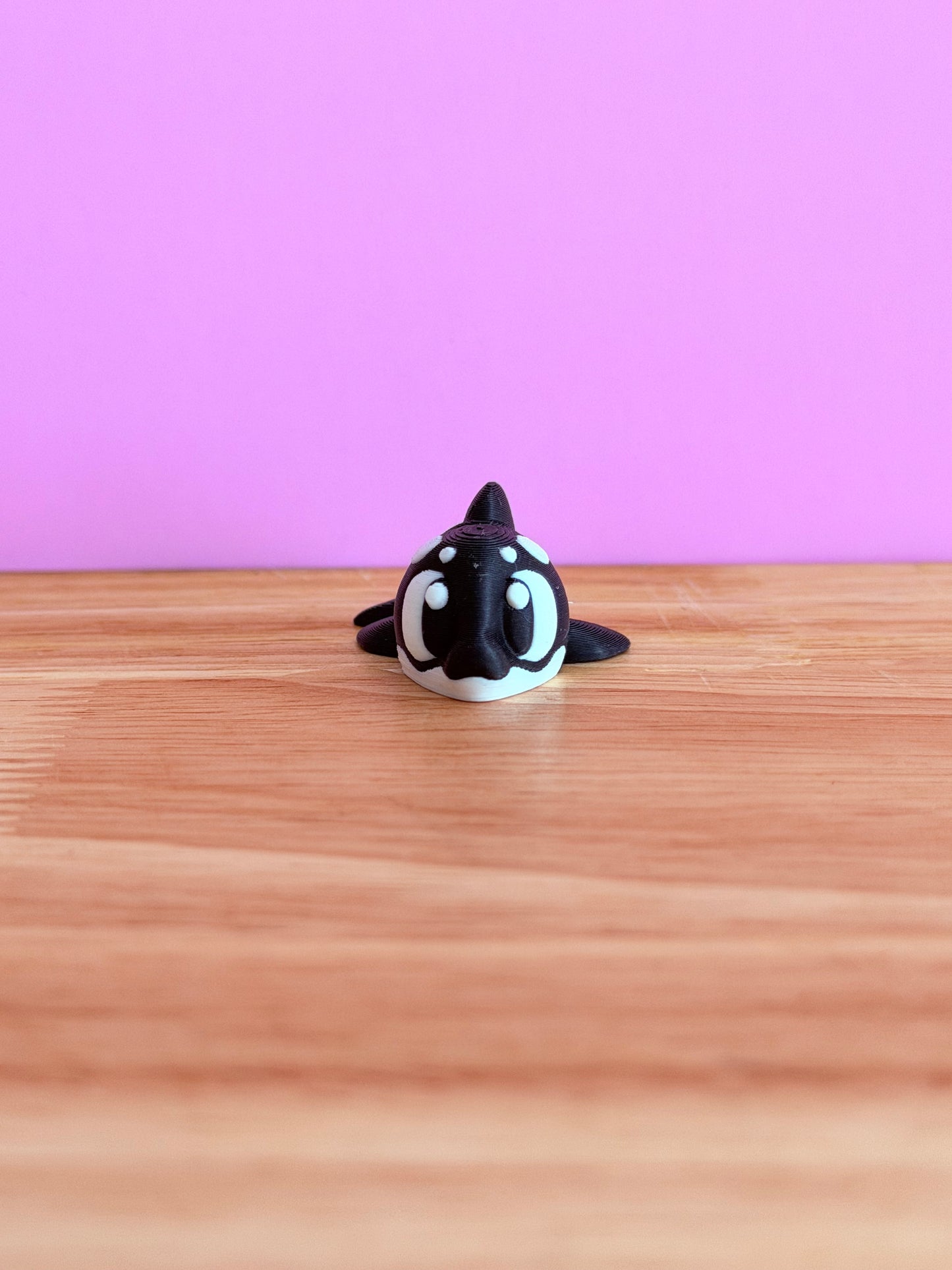 Mini killer whale