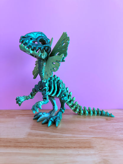 Skeleton Dilophosaurus
