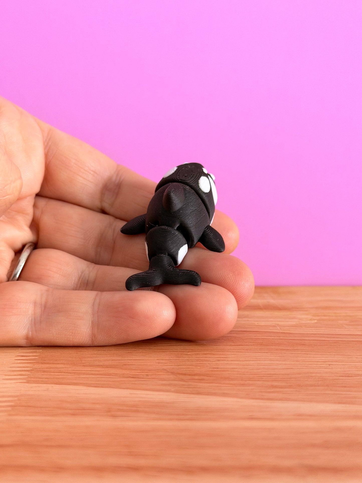 Mini killer whale