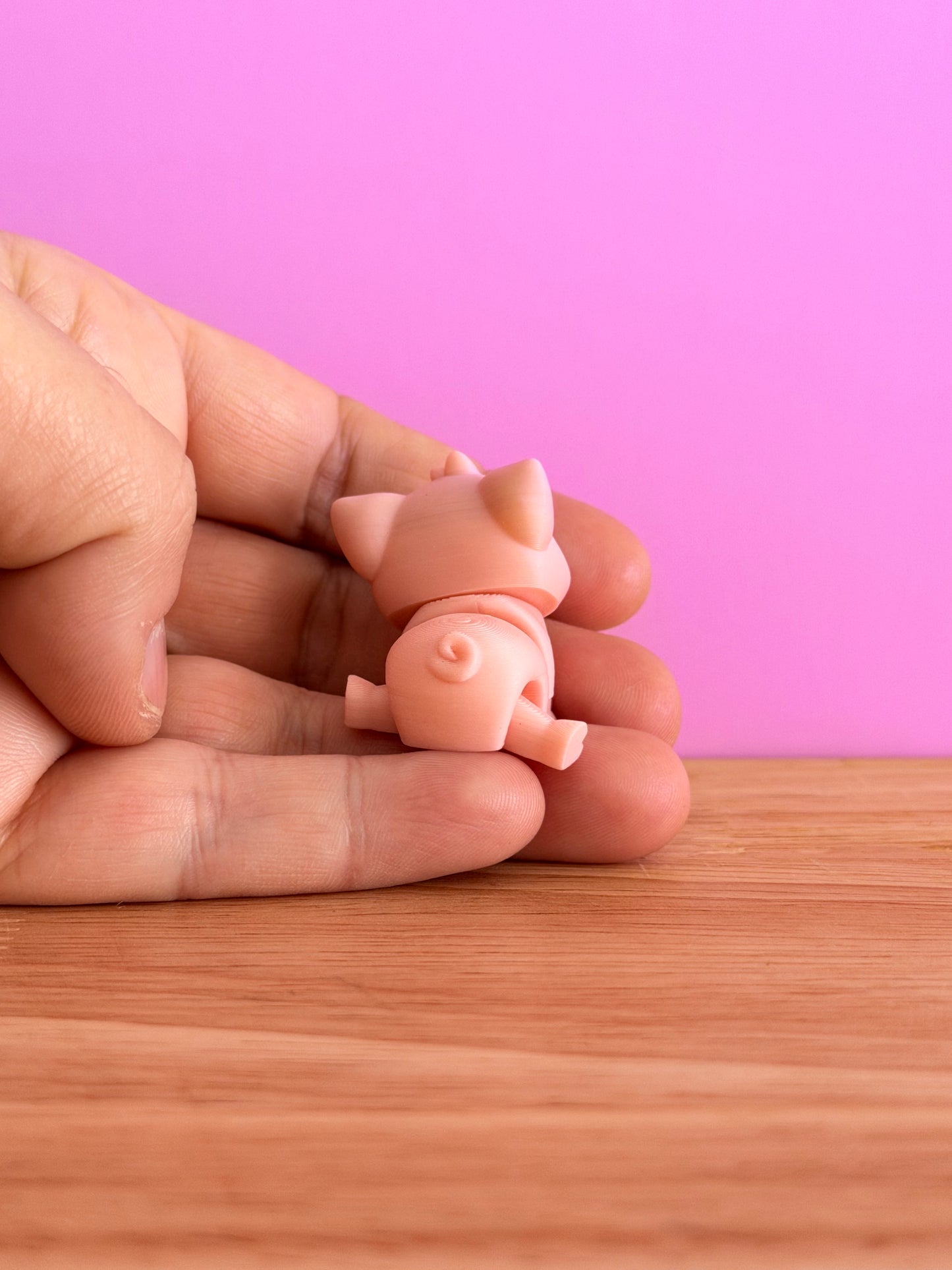 Mini Pig