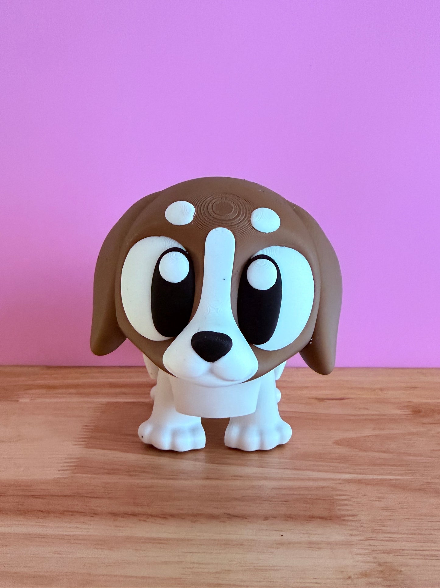 XL pet dog