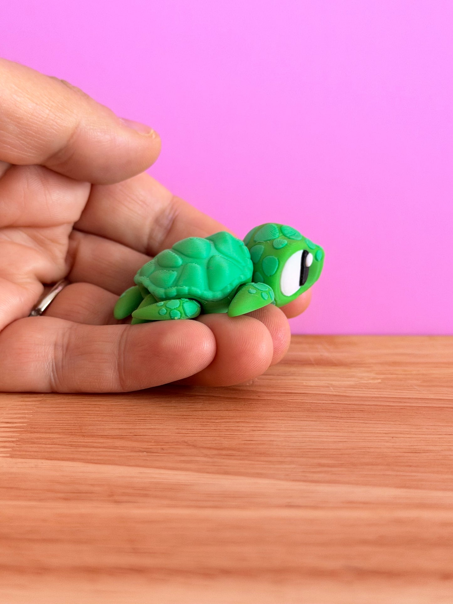 Mini sea turtle