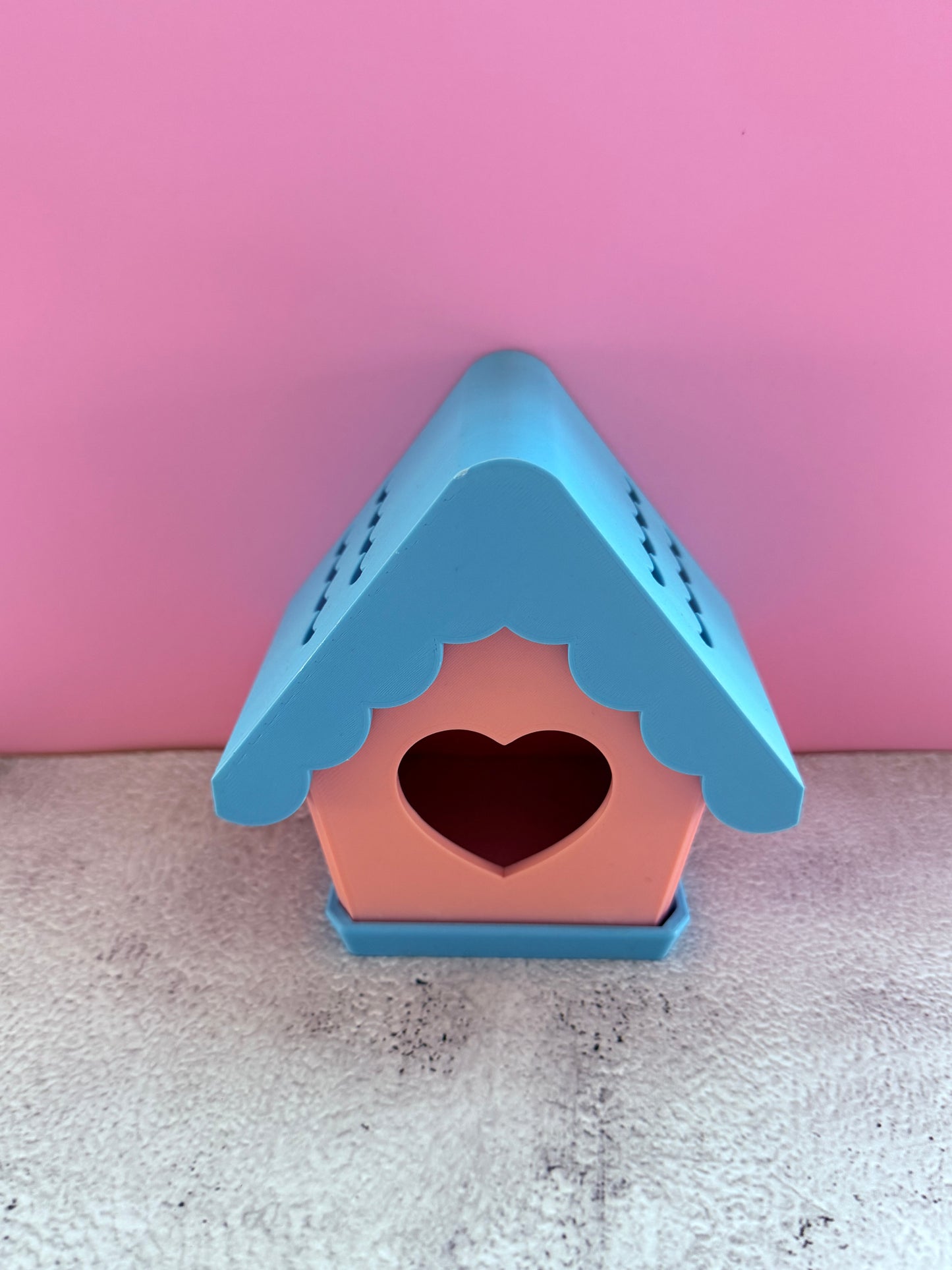 Bird and bird house