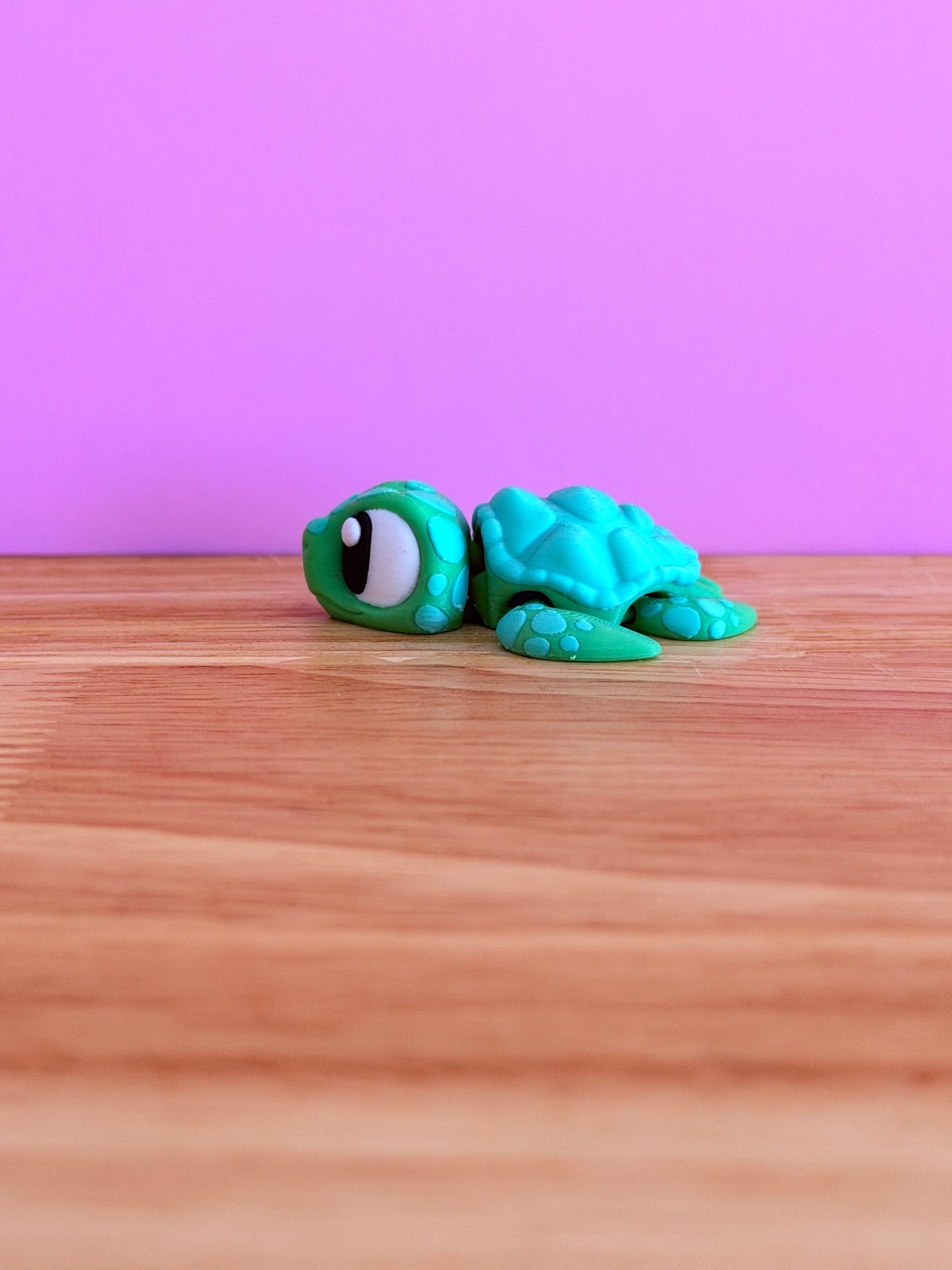 Mini sea turtle