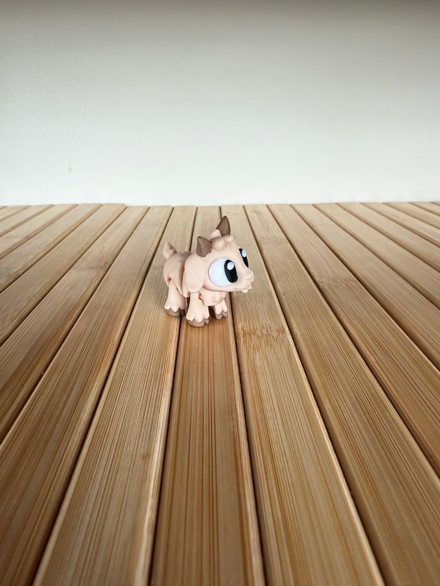 Mini goat