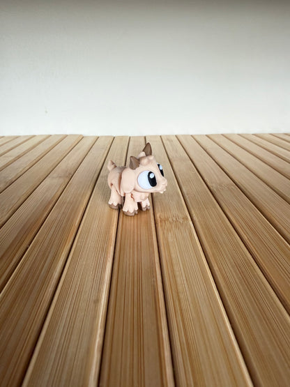Mini goat