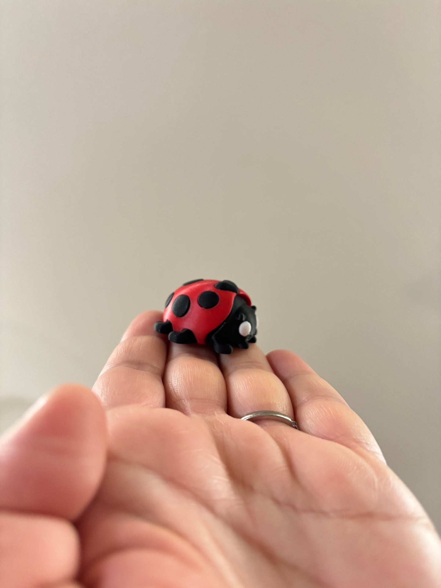 Mini ladybug