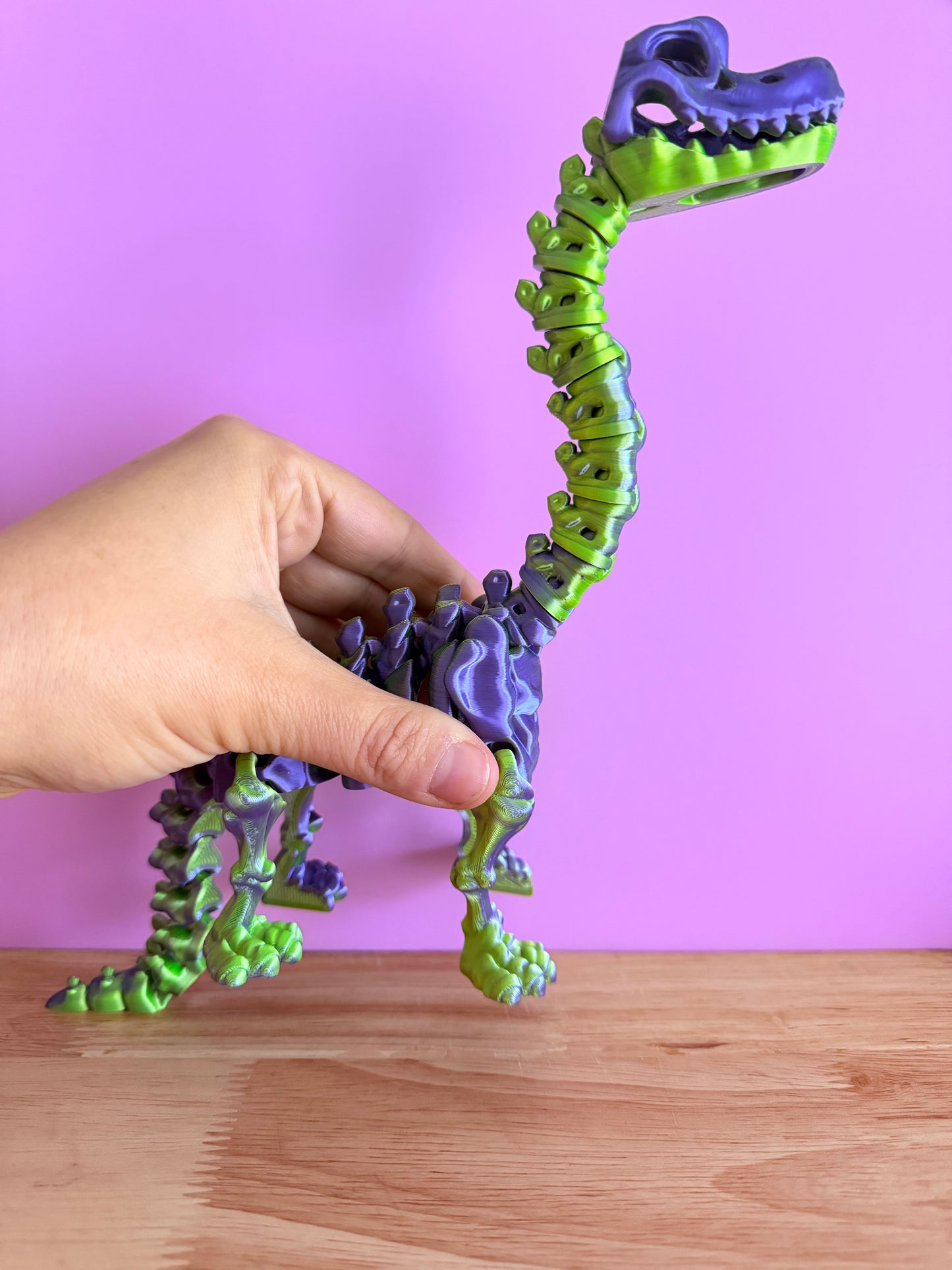 Skeleton Brachiosaurus