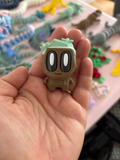 Adorable Pet rocks