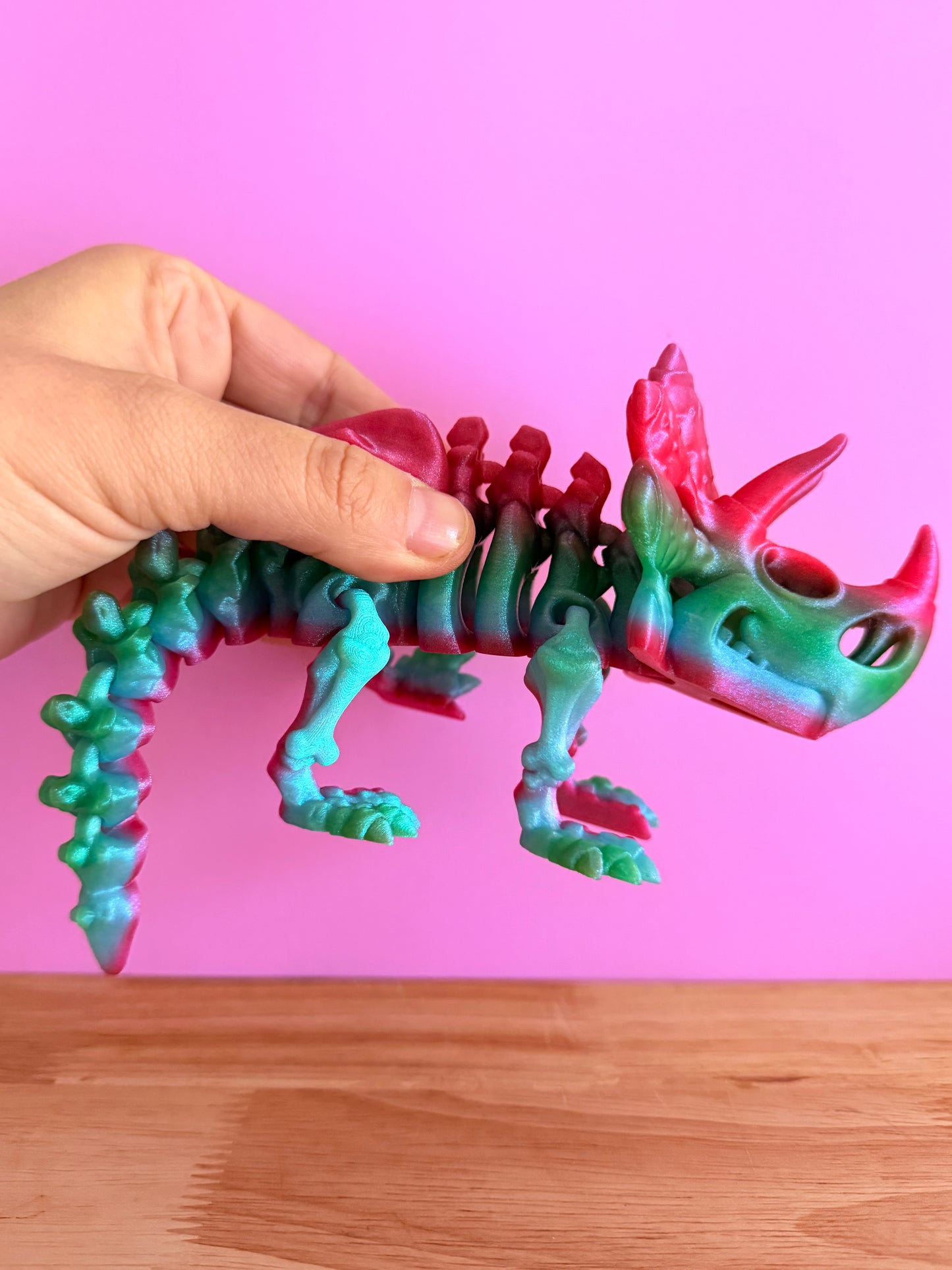 Skeleton triceratops