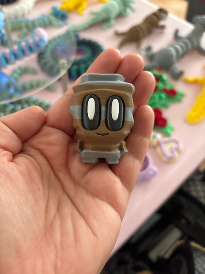 Adorable Pet rocks