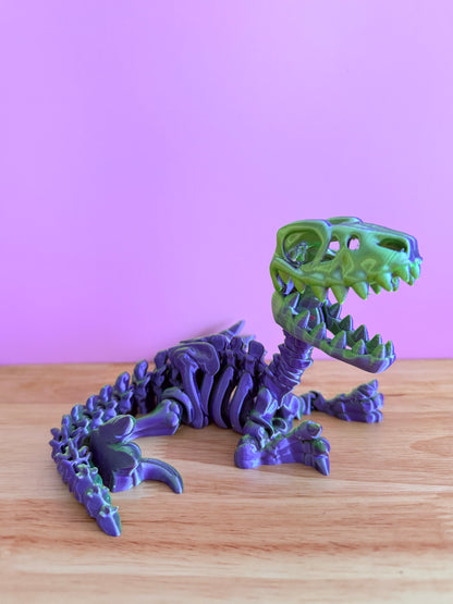 Skeleton raptor